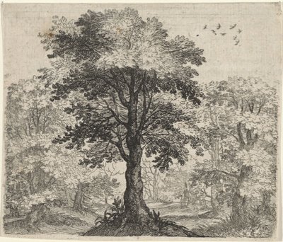 Favola dell