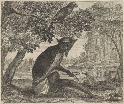 Favola del pappagallo e della scimmia da Egidius  Sadeler (II)