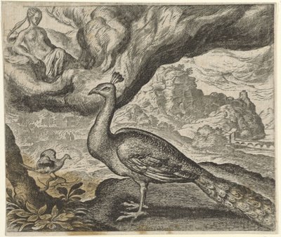 Favola del pavone e dell