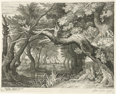 Caccia al cervo presso un lago nella foresta (serie di sei paesaggi) da Egidius  Sadeler (II)
