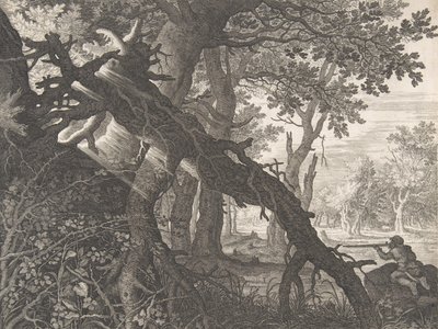 Una foresta con una caccia al coniglio, n.d. da Aegidius Sadeler II