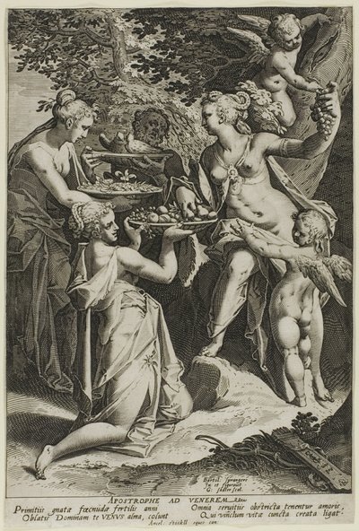 Venere che riceve i regali da Aegidius Sadeler II