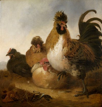 Un gallo e galline da Aelbert Cuyp