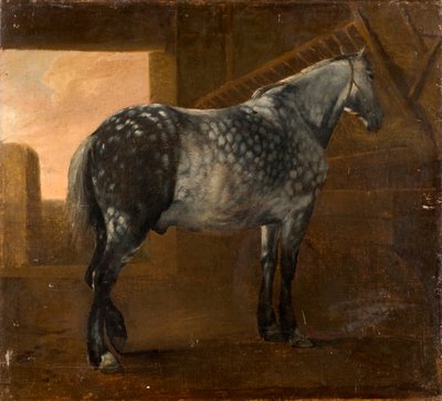 Un Cavallo Grigio Pomellato da Aelbert Cuyp