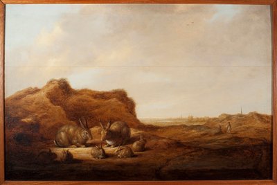 Paesaggio con conigli Dipinto di Albert (Aelbert o Aelbrecht) Cuyp (1620-1691) 1641-1642 Dim. 44x67 cm Genova, Musei di Strada Nuova (ex Palazzo Rosso) da Aelbert Cuyp