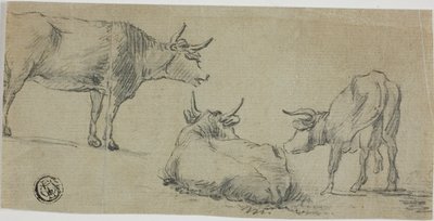 Tre schizzi di mucche da Aelbert Cuyp