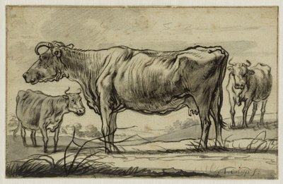  da Aelbert Cuyp