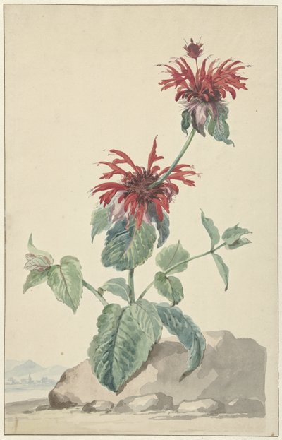 Una bergamotta rossa in un paesaggio da Aert Schouman (circle of)