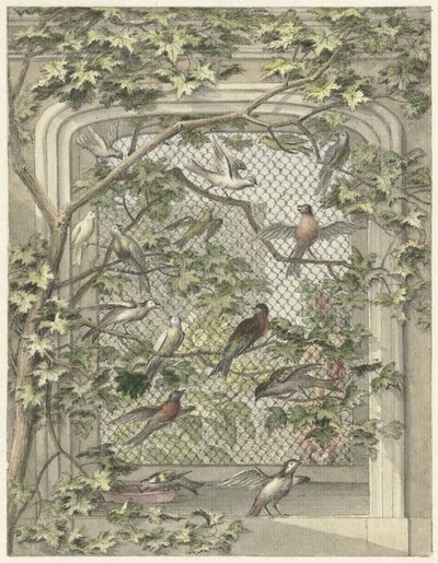 Voliera con quattordici uccelli da Aert Schouman (possibly)