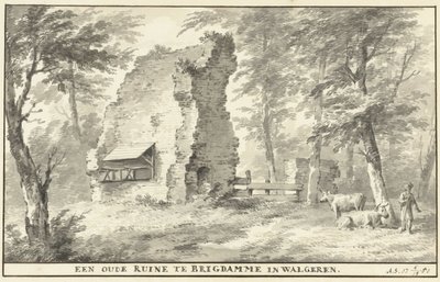 Rovina a Brigdamme su Walcheren (Una vecchia rovina a Brigdamme su Walcheren) da Aert Schouman