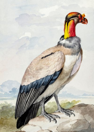 Oroscello da Aert Schouman