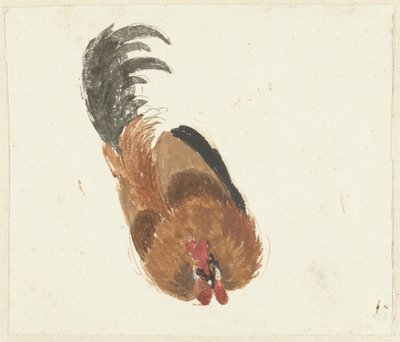 Studio di un gallo morto da Aert Schouman