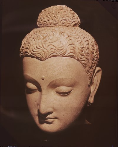 Testa di Buddha, stile greco-buddhista, da Hadda da Afghan School