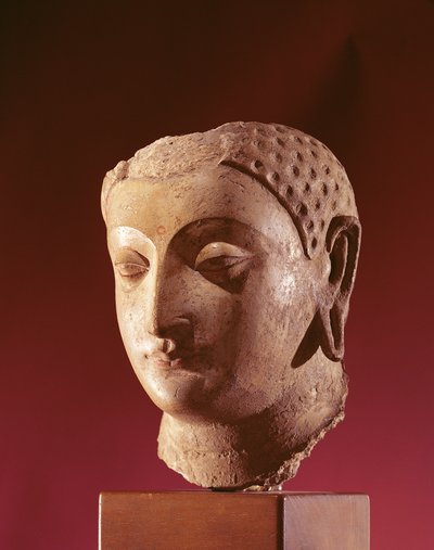 Testa di Buddha, V secolo da Afghan School