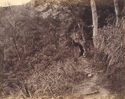 Strada sinistra fino al monastero di Yuen foo, ca. 1869 da Afong Lai