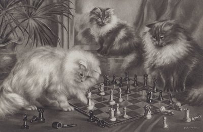 Gruppo di gatti che giocano con pezzi degli scacchi da Agnes Augusta Talboys