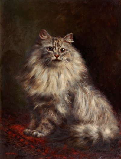 Gatto persiano, c.1908-20 da Agnes Augusta Talboys