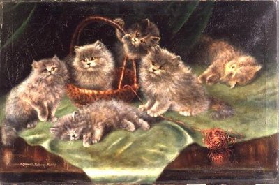 Sei Gattini da Agnes Augusta Talboys