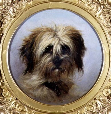Testa di un terrier da Agnes Dundas