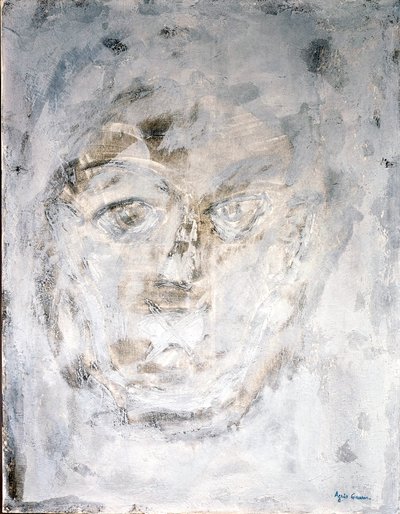 Crudo, 2014 da Agnes Girardon
