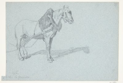 Un cavallo da Agnes Lunn