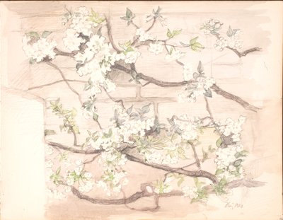 Fiori di Melo da Agnes Slott Møller