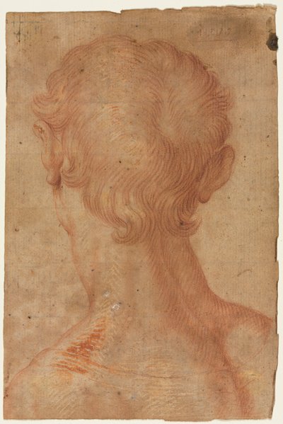  da Agnolo Bronzino