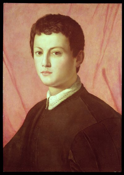 Ritratto di un giovane uomo da Agnolo Bronzino