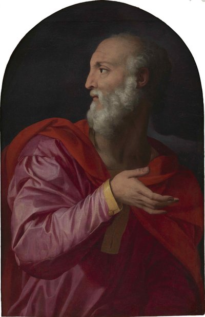 San Cosma da Agnolo Bronzino