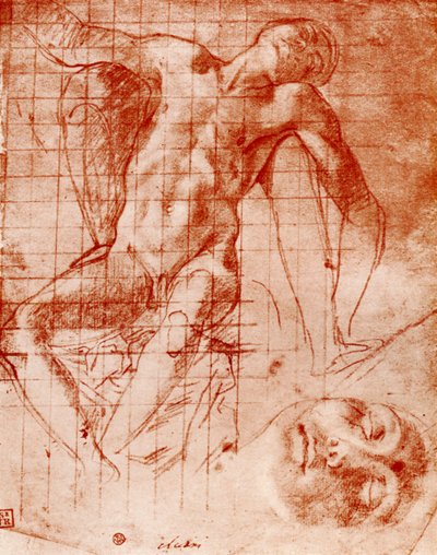 Studi da Agnolo Bronzino