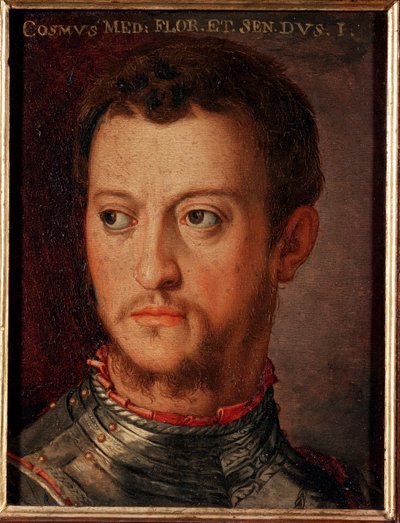 Ritratto di Cosimo I de