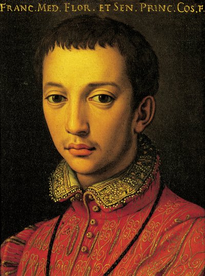 Ritratto di Francesco I de