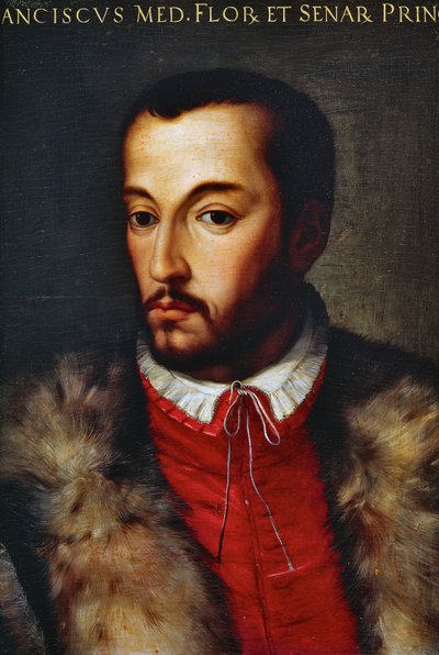 Ritratto di Francesco I de