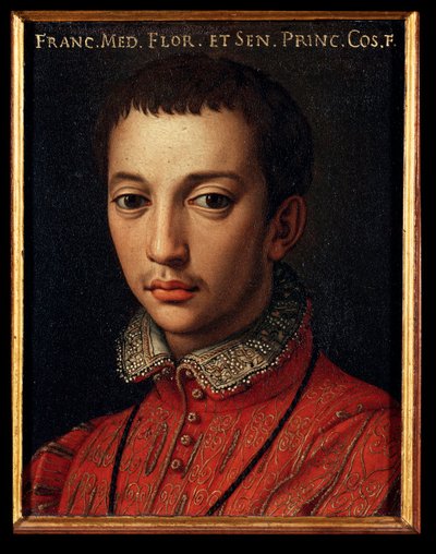 Ritratto di Francesco I de