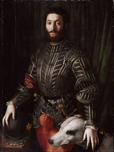 Ritratto di Guidobaldo II Della Rovere, Duca di Urbino da Agnolo Bronzino