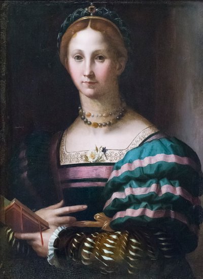 Ritratto di una signora da Agnolo Bronzino