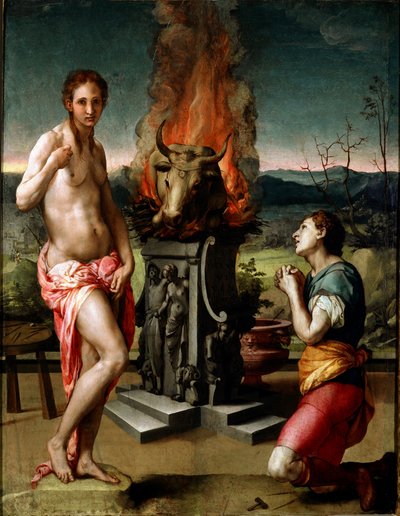 Pigmalione e Galatea da Agnolo Bronzino
