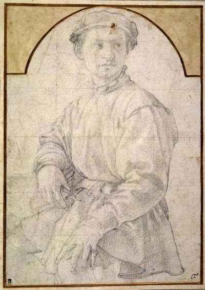 Studio per un giovane con un liuto da Agnolo Bronzino