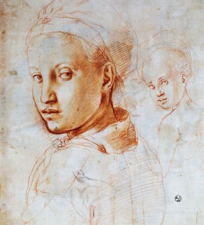 Testa di giovane donna, di Agnolo Bronzino (1503-1572), disegno, Italia da Jacopo Pontormo