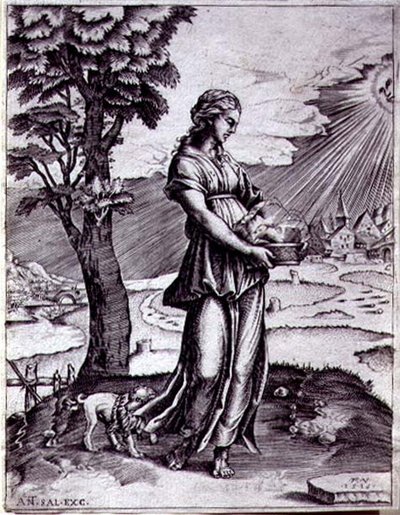 La Sibilla Cumana da Agostino Musi