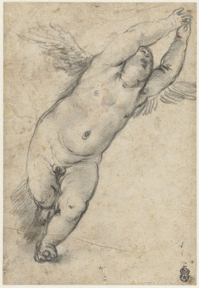 Putto volante con braccia sollevate da Agostino Carracci (attributed to)