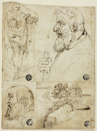 Quattro schizzi: Figura maschile in piedi; Busto di profilo di uomo barbuto; Testa di profilo di uomo barbuto; Paesaggio. da Agostino Carracci