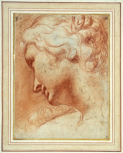 Testa di una giovane donna che guarda in basso sopra la spalla destra da Agostino Carracci