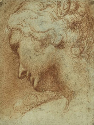 Testa di una giovane donna che guarda in basso oltre la spalla destra da Agostino Carracci
