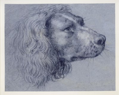  da Agostino Carracci