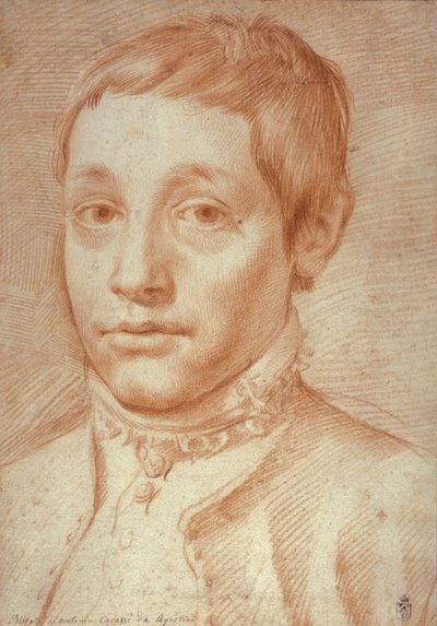 Ritratto di suo figlio, Antonio Carracci da Agostino Carracci