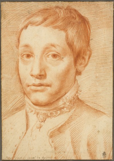 Ritratto del figlio dell
