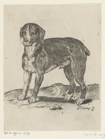Cane in piedi da Agostino Carracci