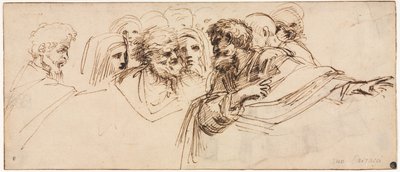 Studio di teste (recto) da Agostino Carracci