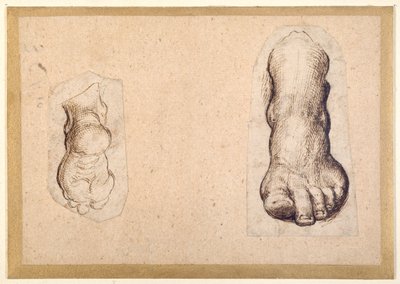 Due studi di un piede in scorcio da Agostino Carracci